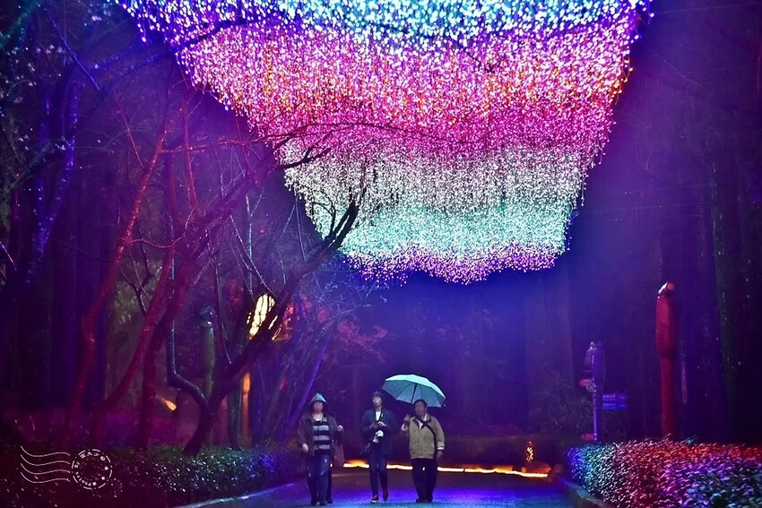 九族文化村:夜櫻