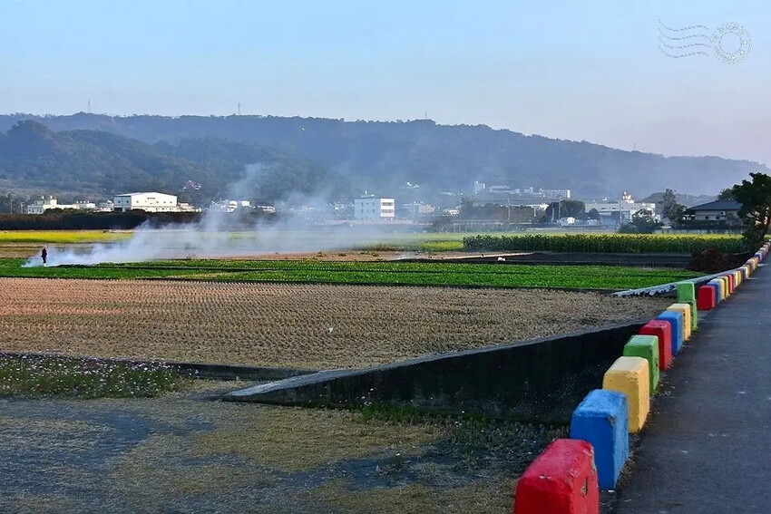 彰化田中望高瞭稻田