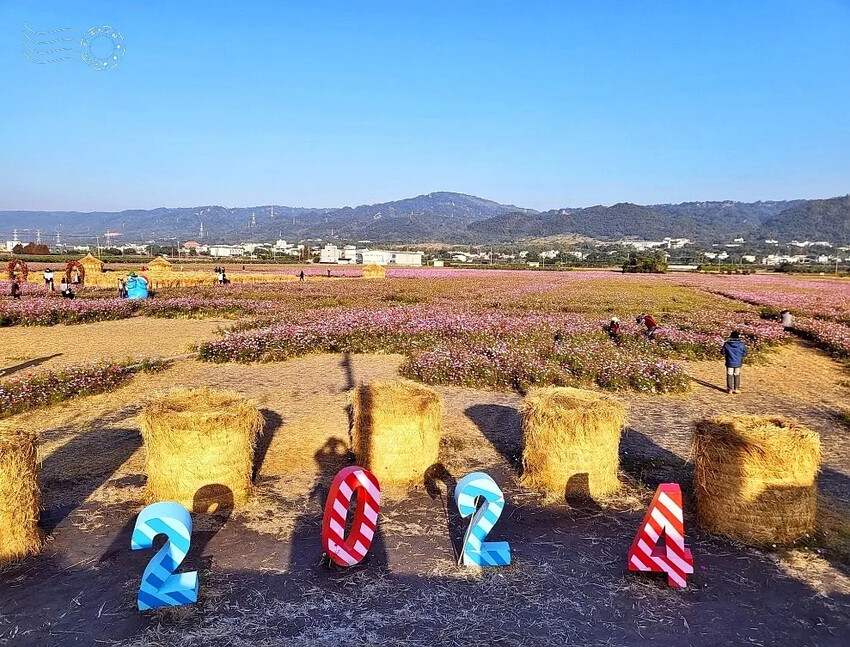 彰化田中【望高瞭花海季】