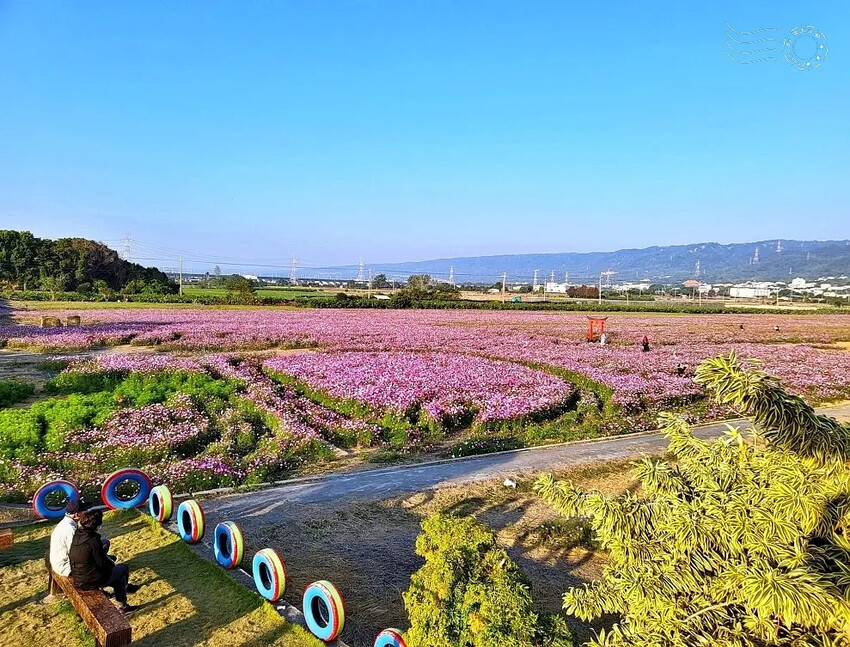 彰化田中【望高瞭花海季】