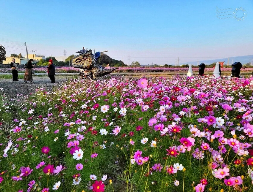 彰化田中【望高瞭花海季】
