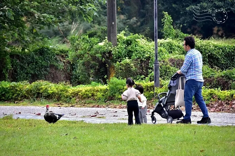 台開心農場 台開心農場