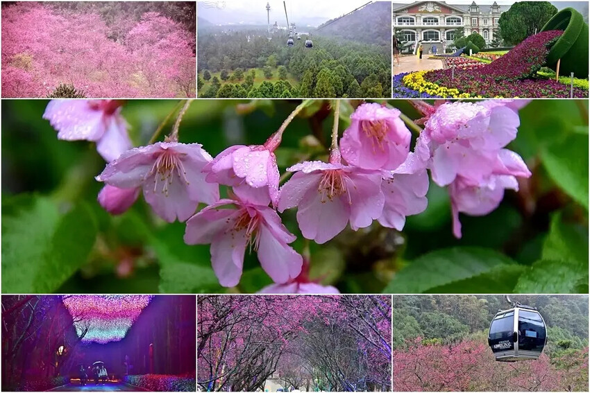 九族文化村一日遊