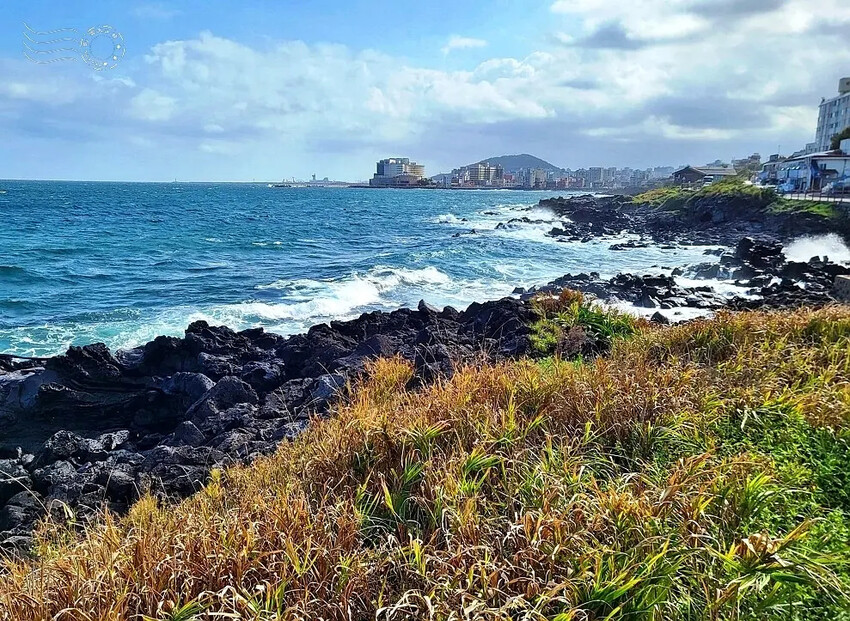 濟州島西海岸路海邊 濟州島西海岸路海邊