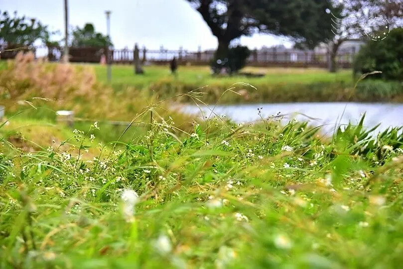 台開心農場 台開心農場