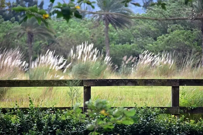 台開心農場 台開心農場