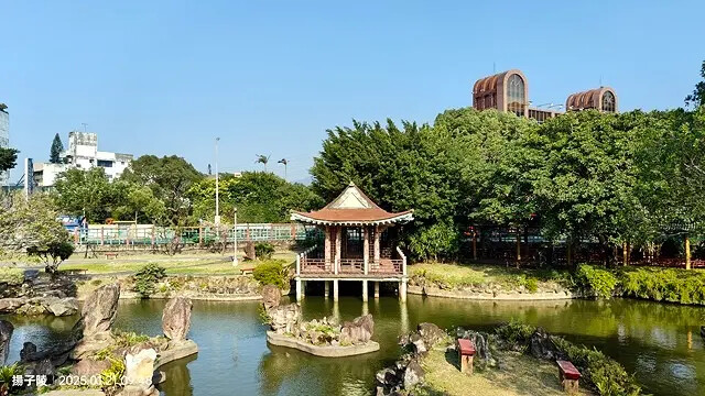 2025台北士林、雙溪公園,梅花1/21即時現況🌸|2025 2025台北士林、雙溪公園,梅花1/21即時現況🌸|2025