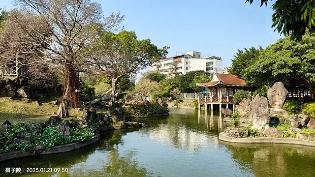 2025台北士林、雙溪公園,梅花1/21即時現況🌸|2025 2025台北士林、雙溪公園,梅花1/21即時現況🌸|2025