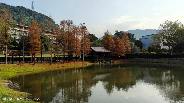 2025臺北士林至善園,梅花1/21即時現況🌸|2025原住 2025臺北士林至善園,梅花1/21即時現況🌸|2025原住