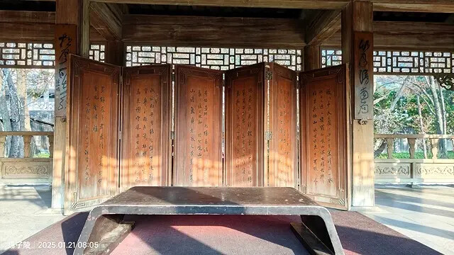 2025臺北士林至善園,梅花1/21即時現況🌸|2025原住 2025臺北士林至善園,梅花1/21即時現況🌸|2025原住