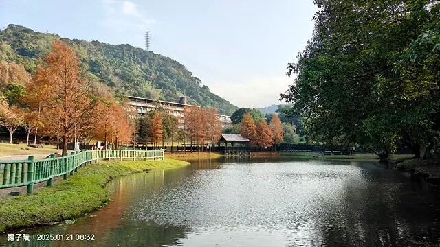 2025臺北士林至善園,梅花1/21即時現況🌸|2025原住 2025臺北士林至善園,梅花1/21即時現況🌸|2025原住