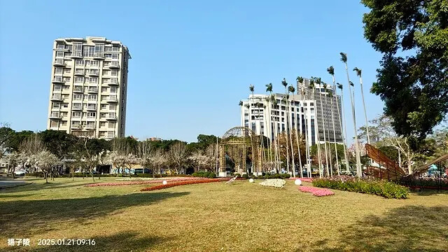 2025士林官邸公園，梅花1/21即時現況🌸｜2025台北士