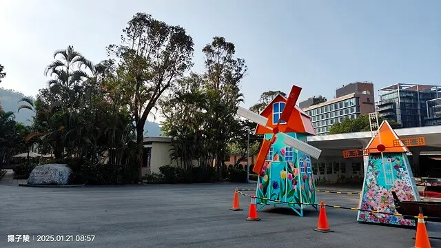 2025士林官邸公園，梅花1/21即時現況🌸｜2025台北士