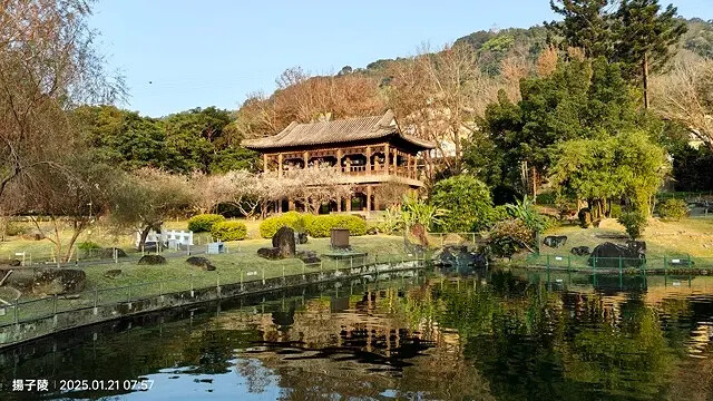 2025臺北士林至善園,梅花1/21即時現況🌸|2025原住 2025臺北士林至善園,梅花1/21即時現況🌸|2025原住