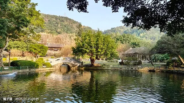 2025臺北士林至善園,梅花1/21即時現況🌸|2025原住 2025臺北士林至善園,梅花1/21即時現況🌸|2025原住