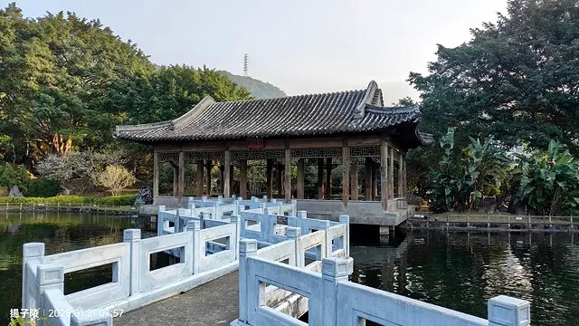 2025臺北士林至善園,梅花1/21即時現況🌸|2025原住 2025臺北士林至善園,梅花1/21即時現況🌸|2025原住