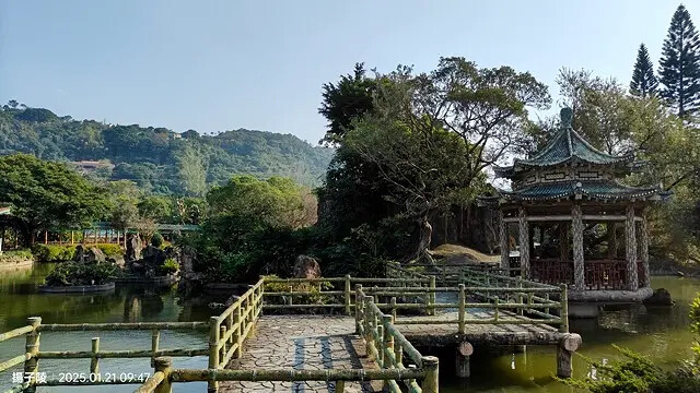 2025台北士林、雙溪公園,梅花1/21即時現況🌸|2025 2025台北士林、雙溪公園,梅花1/21即時現況🌸|2025