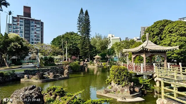 2025台北士林、雙溪公園,梅花1/21即時現況🌸|2025 2025台北士林、雙溪公園,梅花1/21即時現況🌸|2025