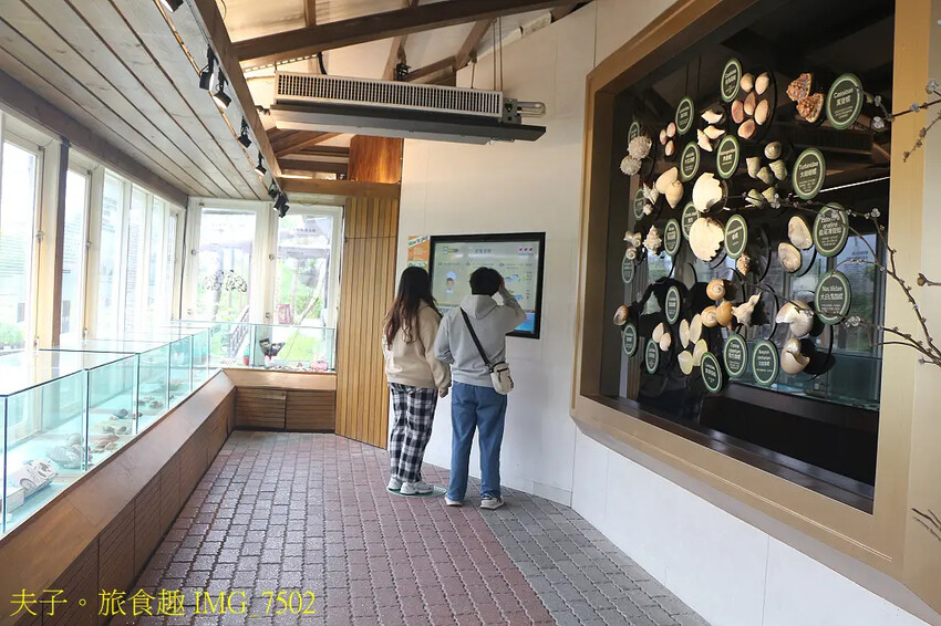 立川漁場 立川三寶 烏鰡原來是這麼的可愛 立川漁場 立川三寶 烏鰡原來是這麼的可愛