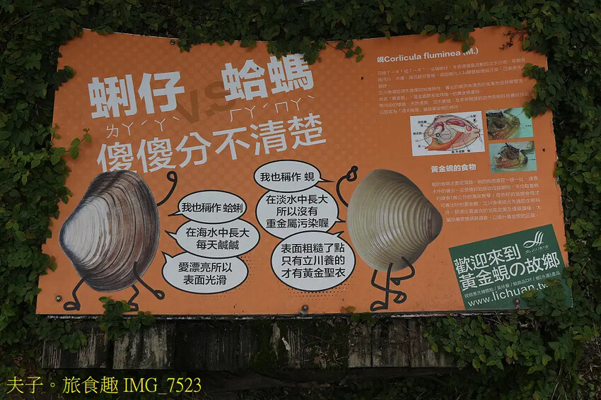 立川漁場 立川三寶 烏鰡原來是這麼的可愛 立川漁場 立川三寶 烏鰡原來是這麼的可愛