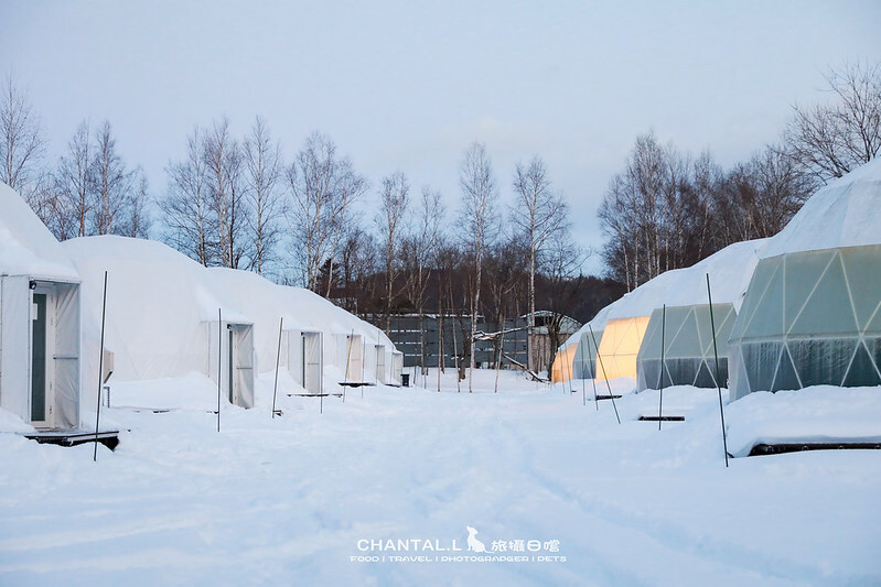 1J6A0667-2拷貝 拷貝