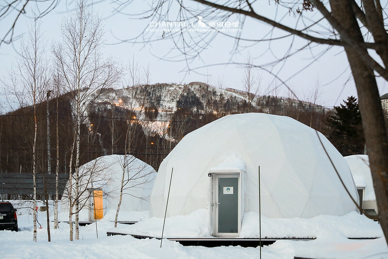 1J6A0659-2拷貝 拷貝