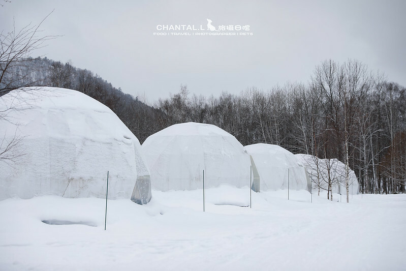 1J6A0968-2拷貝 拷貝