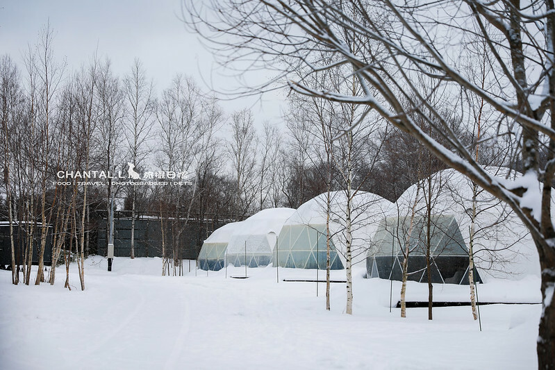 1J6A0947-2拷貝 拷貝