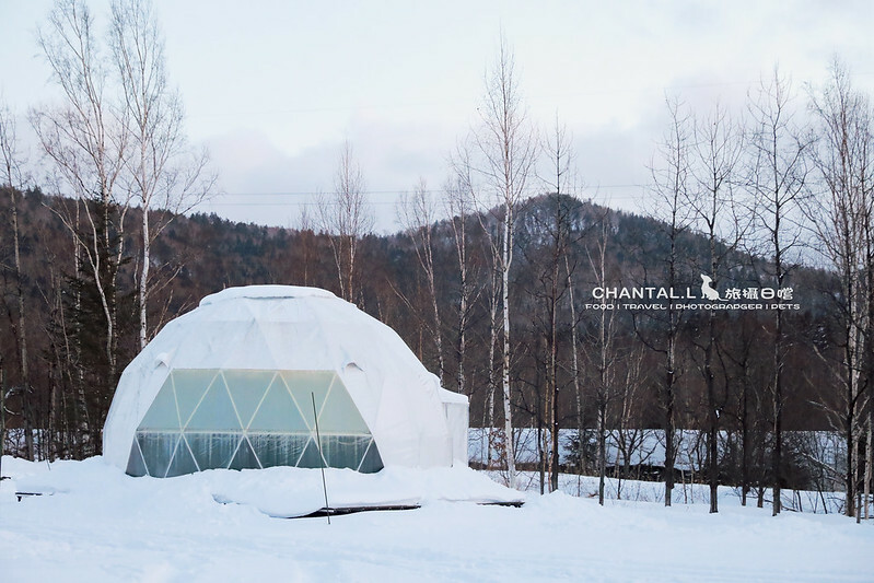 1J6A0677-2拷貝 拷貝