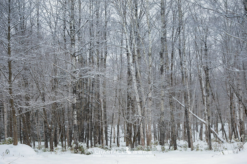 1J6A0847-2拷貝 拷貝