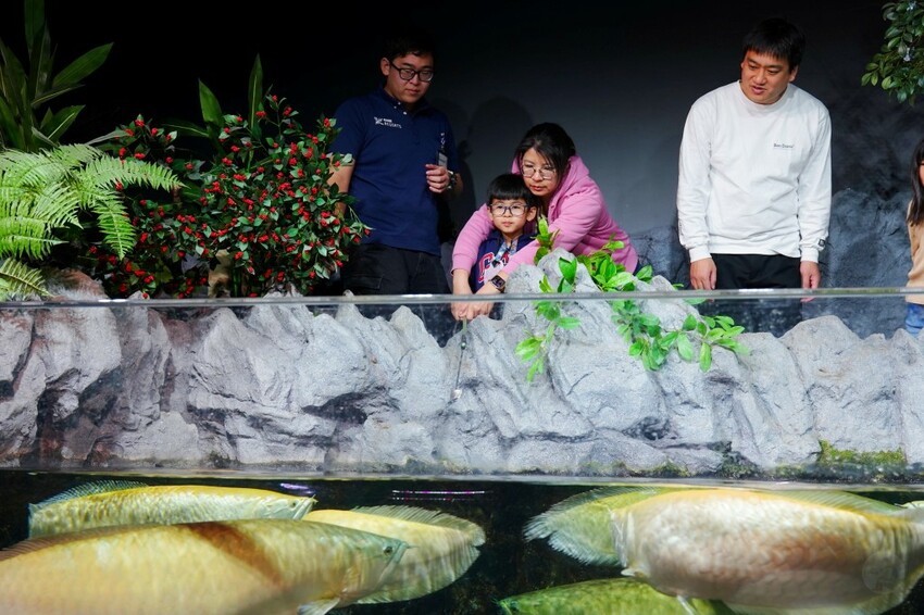 日本出國網卡推薦WifiMi｜日本沖繩六天五夜自由行簡易攻略，SIM卡吃到飽、eSIM免換卡超便利！