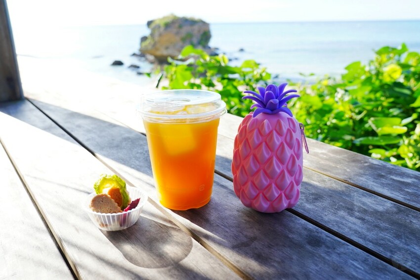 日本出國網卡推薦WifiMi｜日本沖繩六天五夜自由行簡易攻略，SIM卡吃到飽、eSIM免換卡超便利！