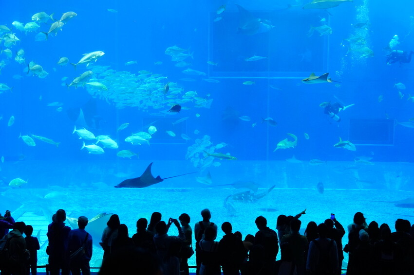 日本出國網卡推薦WifiMi｜日本沖繩六天五夜自由行簡易攻略，SIM卡吃到飽、eSIM免換卡超便利！