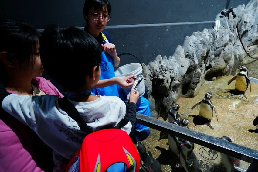 日本出國網卡推薦WifiMi｜日本沖繩六天五夜自由行簡易攻略，SIM卡吃到飽、eSIM免換卡超便利！