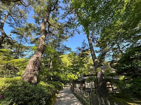 LINE_ALBUM_20240504高松_240531_101