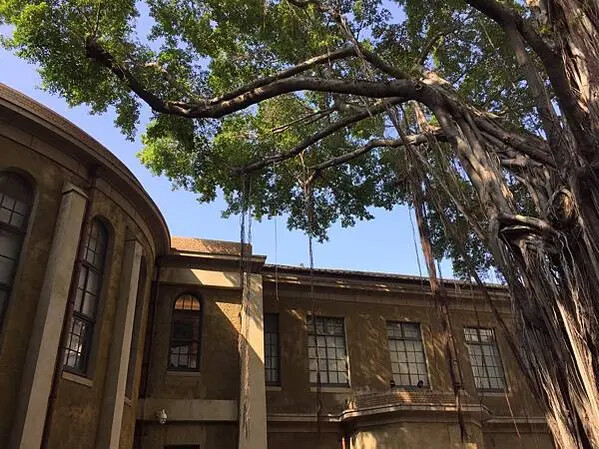 20201124-台南Day 02_201205_44 20201124-台南Day 02_201205_44