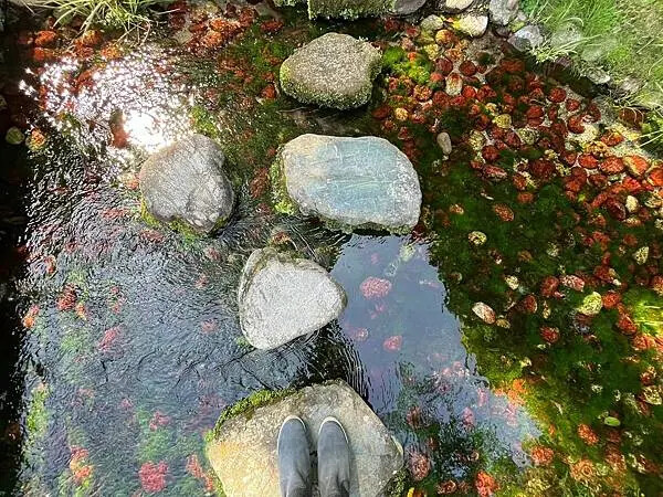 LINE_ALBUM_20240504高松_240531_85