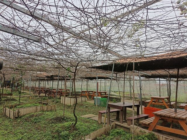 親子遊桃園!「陽榮生態農場」釣螃蟹撈魚初體驗超有趣,親子旅遊推薦。