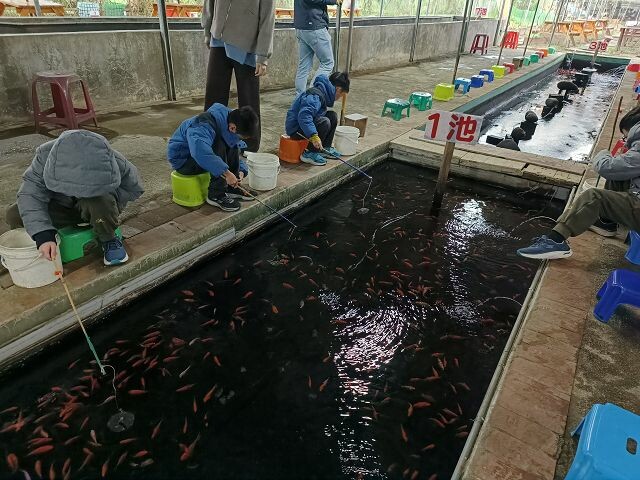 親子遊桃園!「陽榮生態農場」釣螃蟹撈魚初體驗超有趣,親子旅遊推薦。