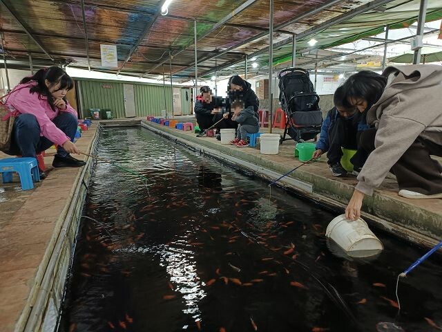 親子遊桃園!「陽榮生態農場」釣螃蟹撈魚初體驗超有趣,親子旅遊推薦。