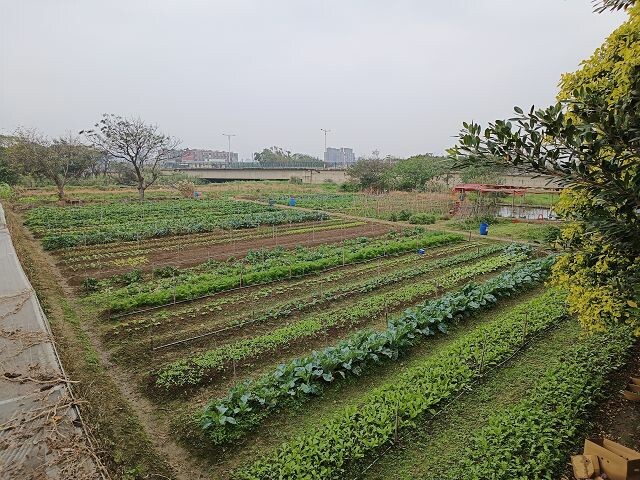 親子遊桃園!「陽榮生態農場」釣螃蟹撈魚初體驗超有趣,親子旅遊推薦。