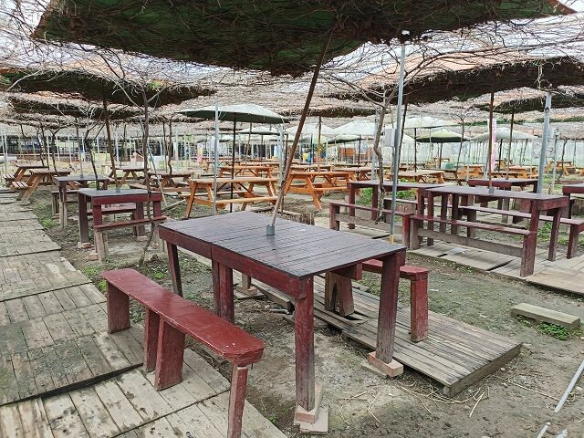 親子遊桃園!「陽榮生態農場」釣螃蟹撈魚初體驗超有趣,親子旅遊推薦。