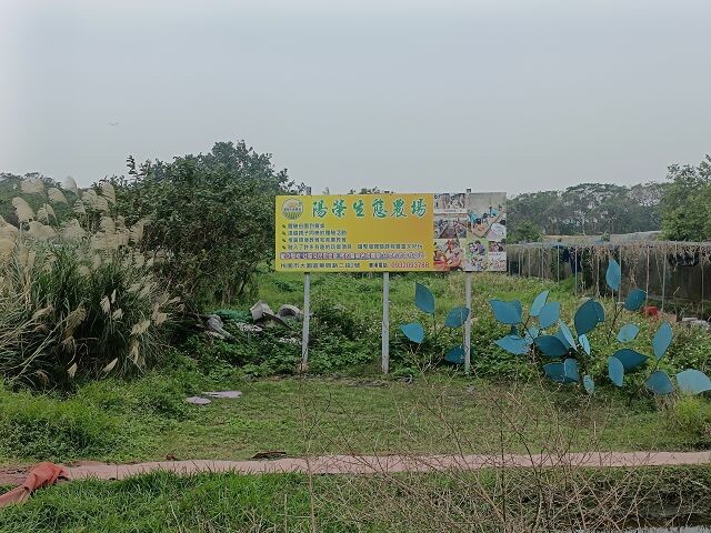 親子遊桃園!「陽榮生態農場」釣螃蟹撈魚初體驗超有趣,親子旅遊推薦。