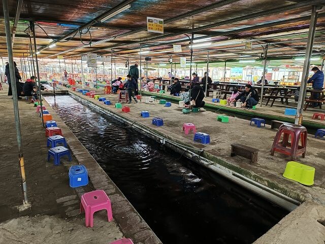 親子遊桃園!「陽榮生態農場」釣螃蟹撈魚初體驗超有趣,親子旅遊推薦。