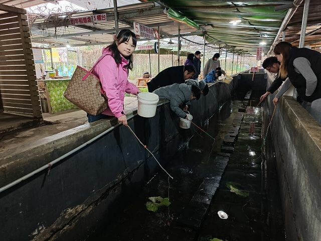 親子遊桃園!「陽榮生態農場」釣螃蟹撈魚初體驗超有趣,親子旅遊推薦。