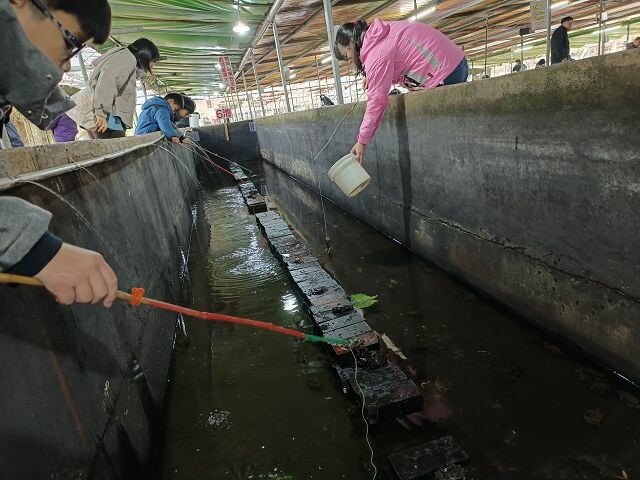 親子遊桃園!「陽榮生態農場」釣螃蟹撈魚初體驗超有趣,親子旅遊推薦。