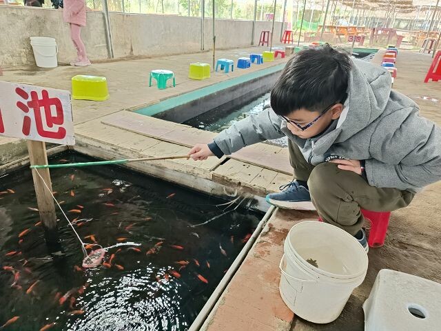 親子遊桃園!「陽榮生態農場」釣螃蟹撈魚初體驗超有趣,親子旅遊推薦。