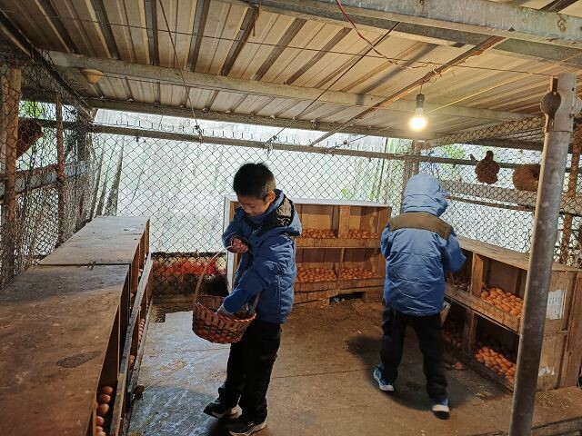 親子遊桃園!「陽榮生態農場」釣螃蟹撈魚初體驗超有趣,親子旅遊推薦。