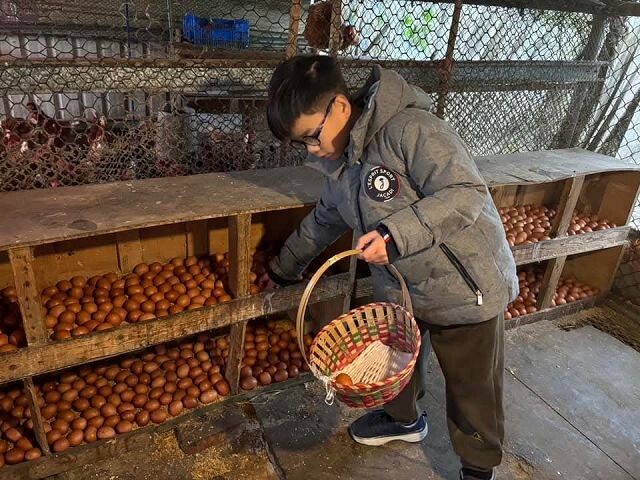 親子遊桃園!「陽榮生態農場」釣螃蟹撈魚初體驗超有趣,親子旅遊推薦。
