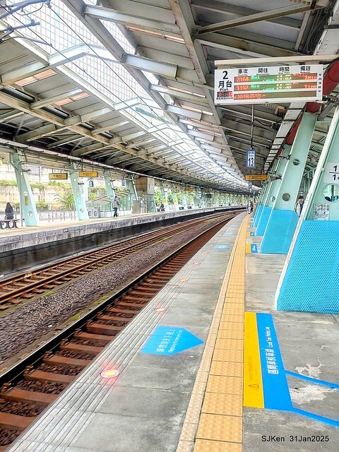 2025雙北平地賞櫻第四拍( --- 汐止文化櫻花季康誥溪櫻花大道(Cherry Blossoms at the creekside of Kangau creek), Hsingi district, Hsinpei city, SJKen, Jan 31, 2025.